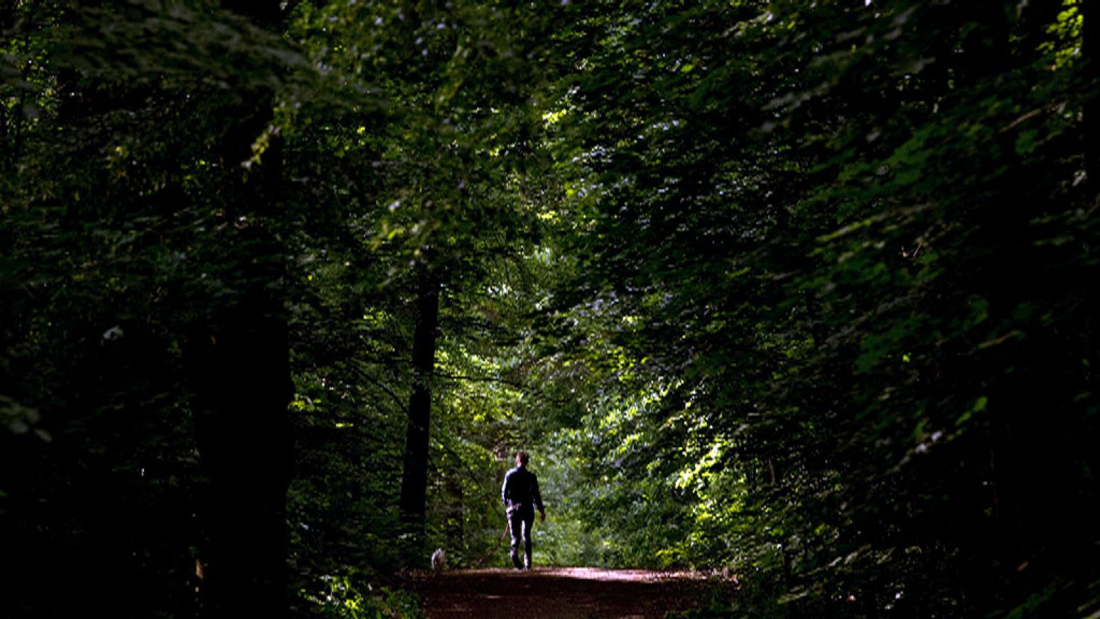 Tiempo estable en la mayor parte de España salvo en el extremo norte