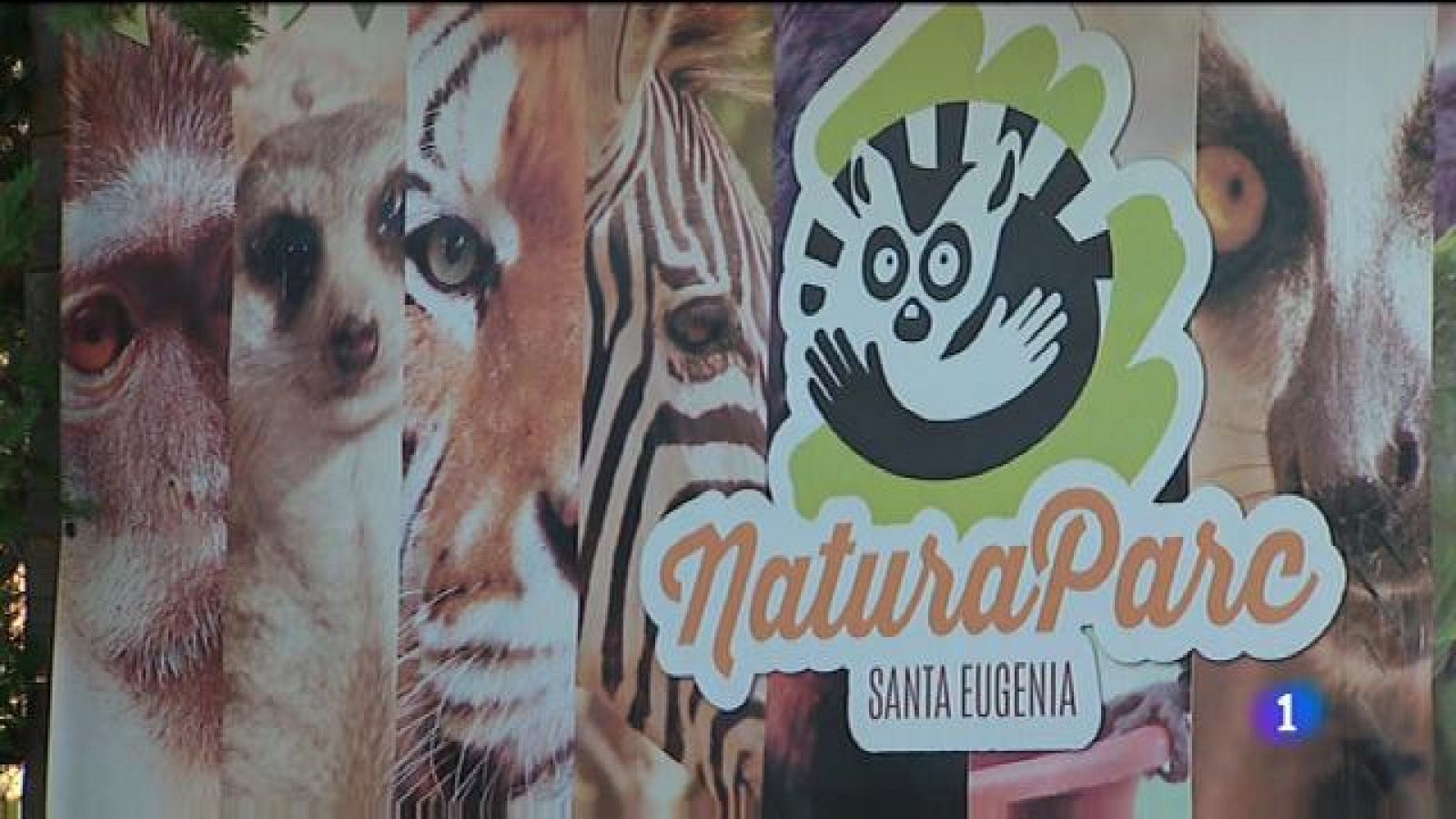 Natura Parc és a punt de fer fallida