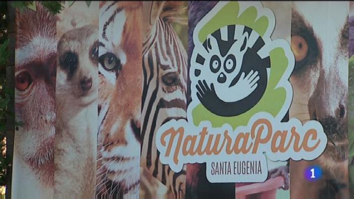 Informatiu Balear - Natura Parc és a punt de fer fallida