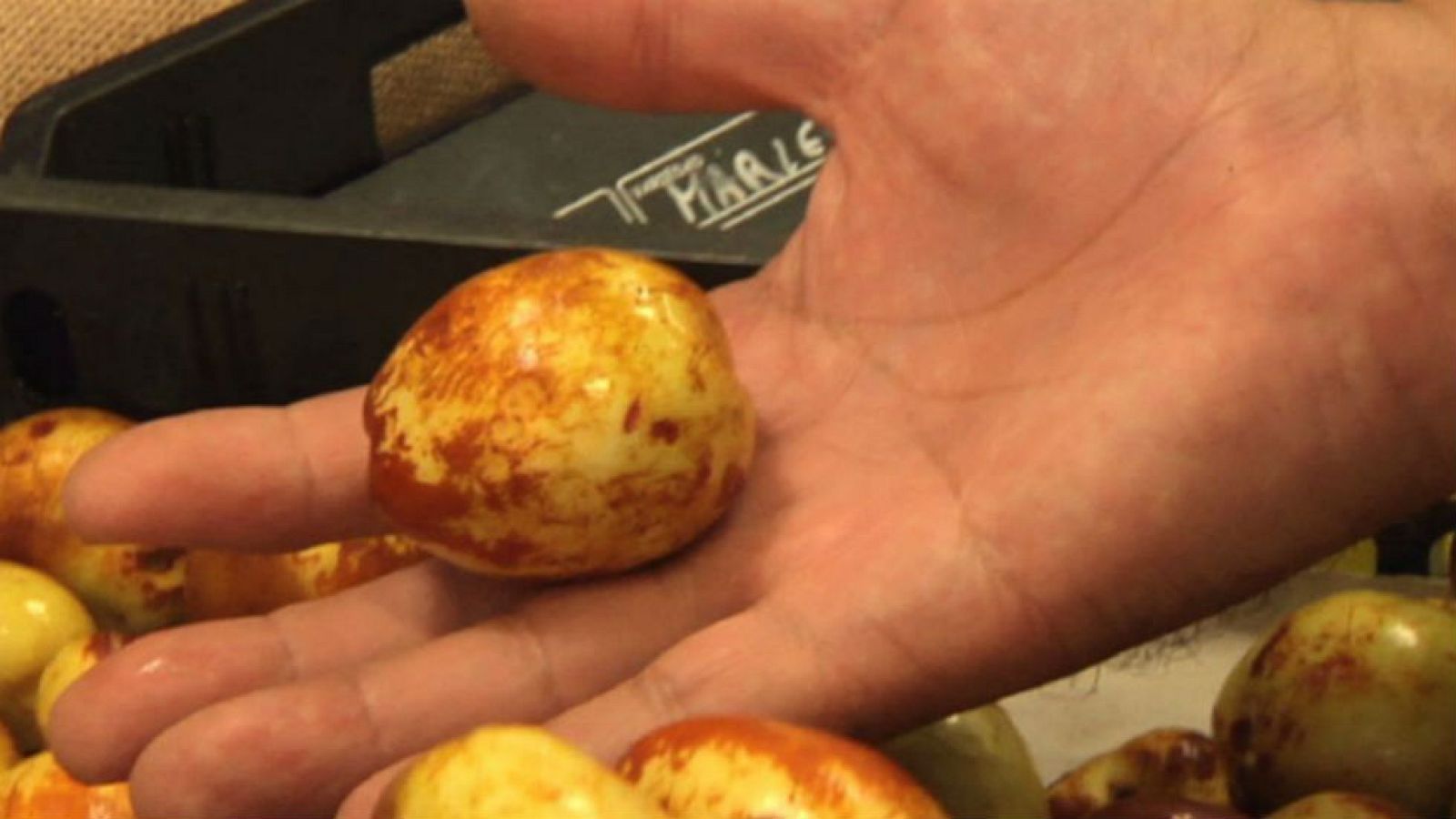 El sabor de las frutas perdidas