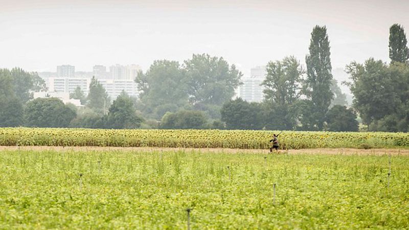 Tiempo estable en todo el país