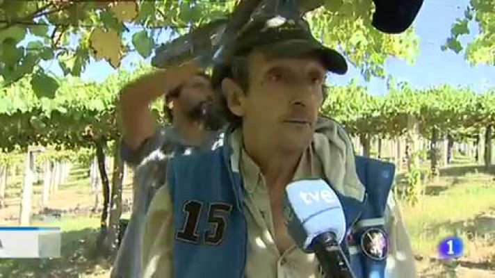 Telediario 1 - 22 hectáreas de viñas de albariño rodean la propiedad Pazo Baion, el que fuera símbolo del poder del narcotráfico gallego