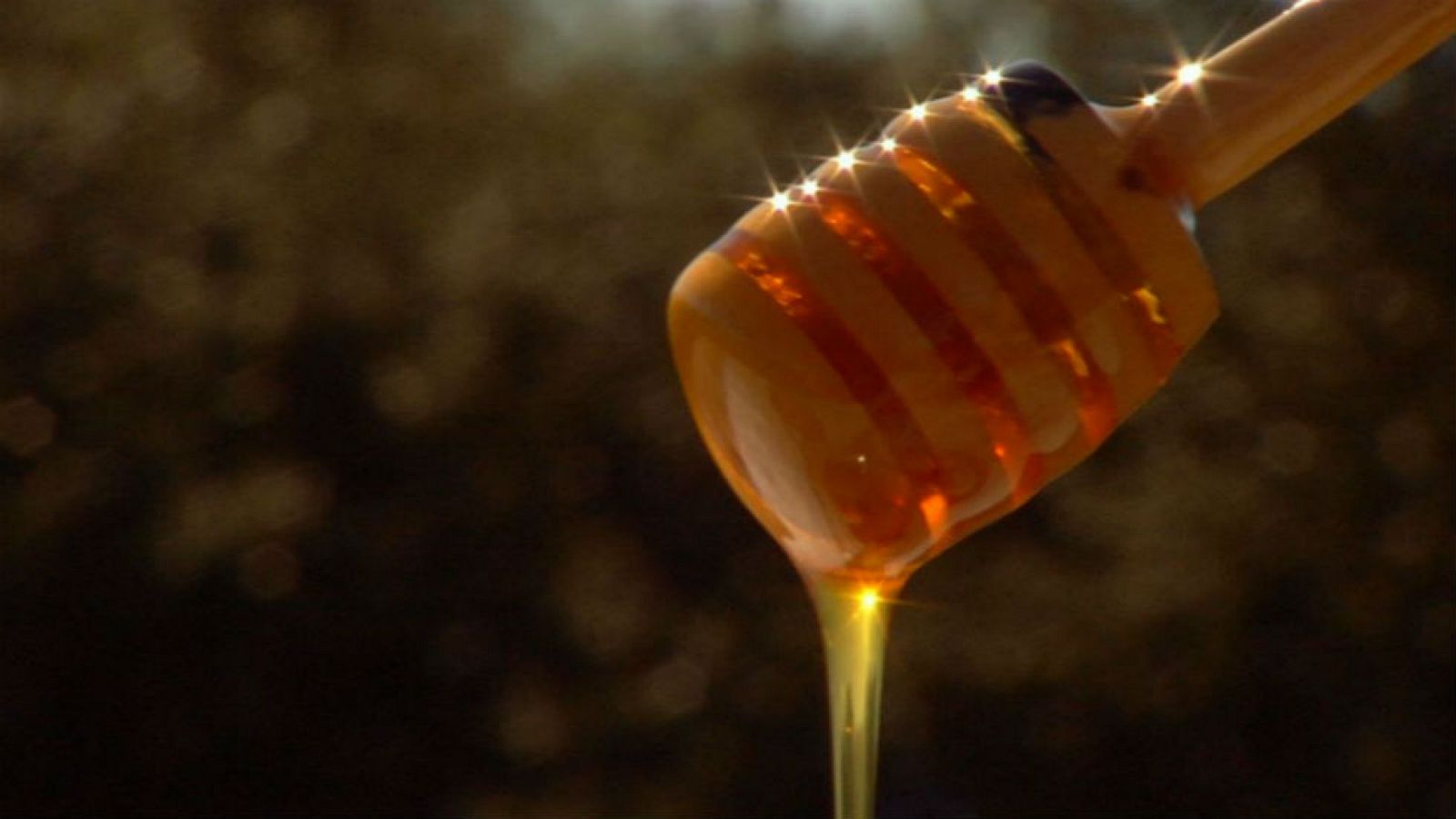 Miel eco en El Bierzo