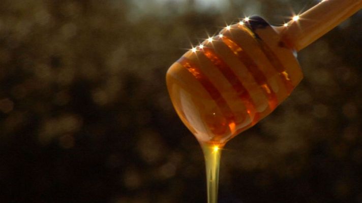 Aquí la Tierra - Miel eco en El Bierzo