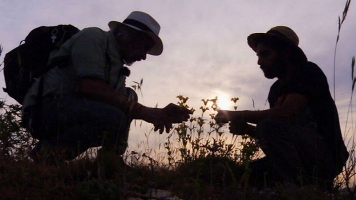 Aquí la Tierra - Juan Plantas y el panical