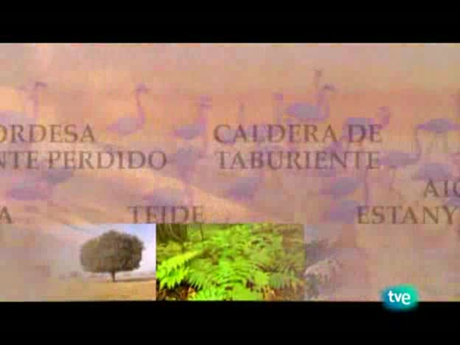 Espacios naturales - Nuestros parques nacionales - Timanfaya | Ver