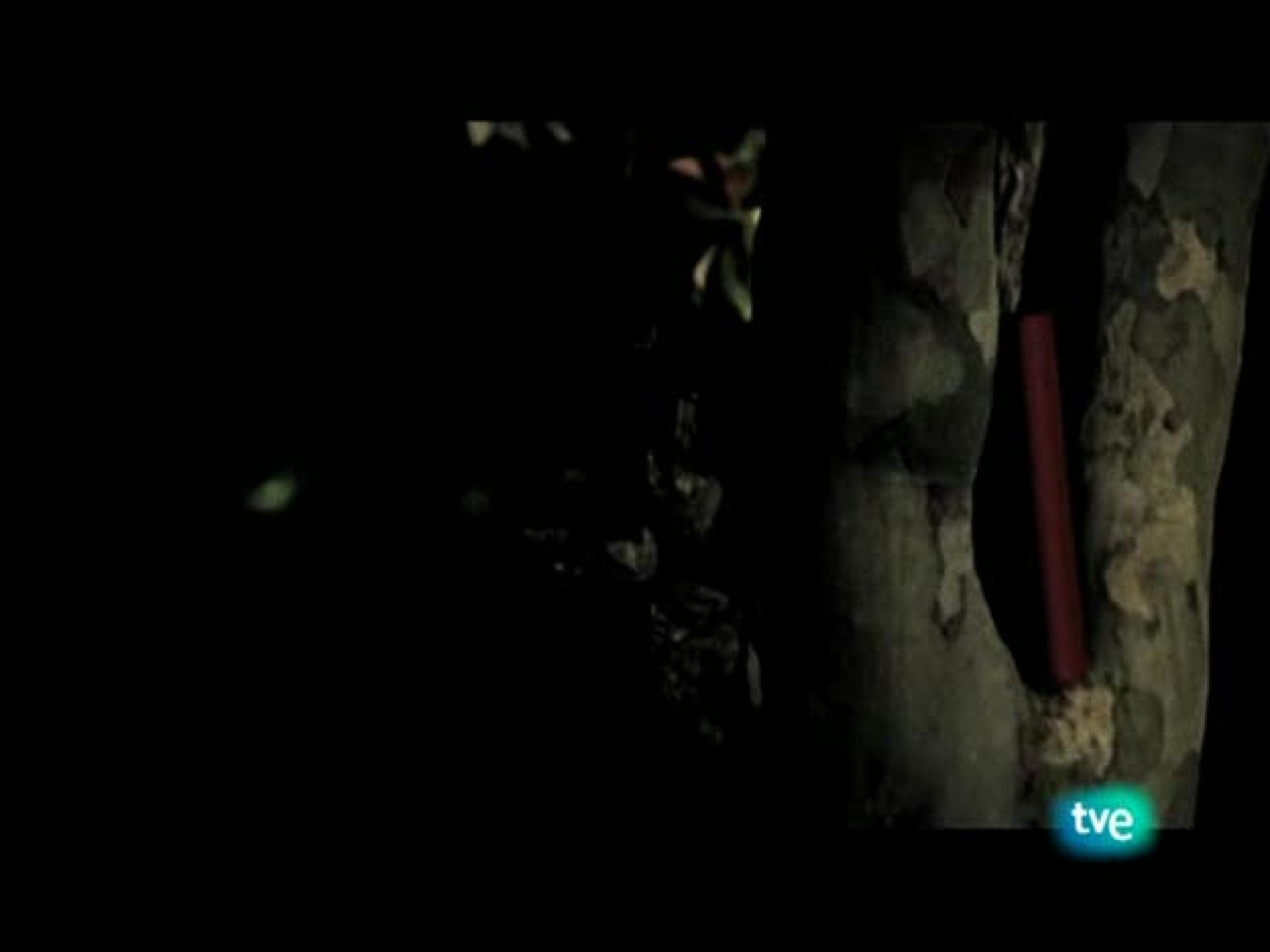 Página 2 - Redifusión