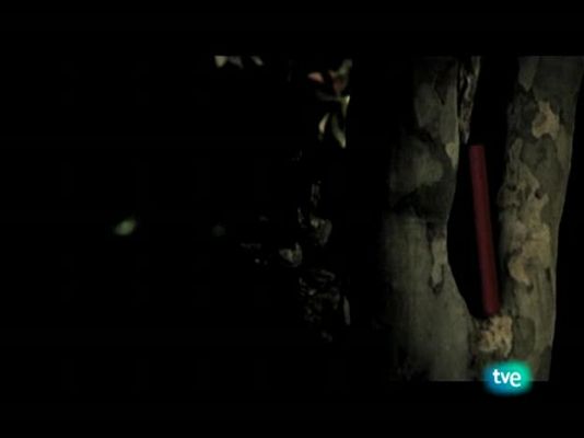 Página Dos - Roberto Saviano, autor de "Gomorra