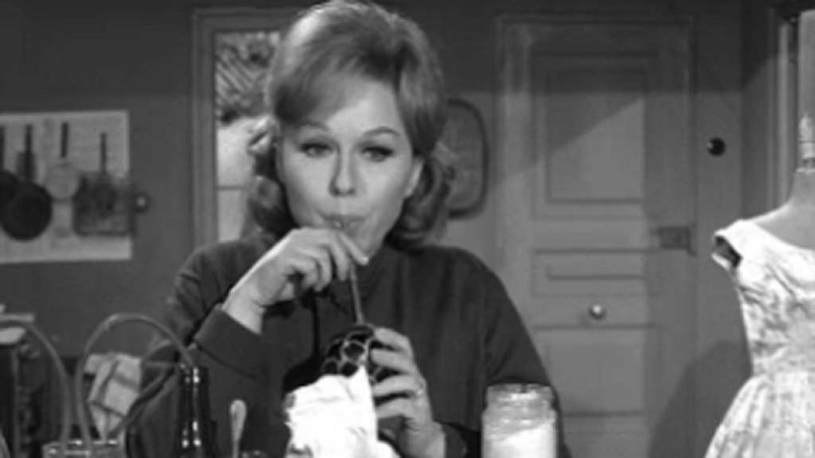 La familia Colón - Memorias de un perro