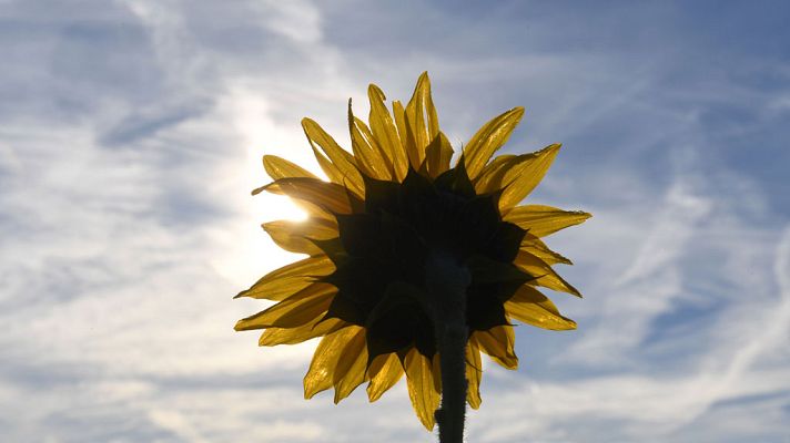 Informativo de Madrid - El Tiempo en la Comunidad de Madrid - 27/09/18