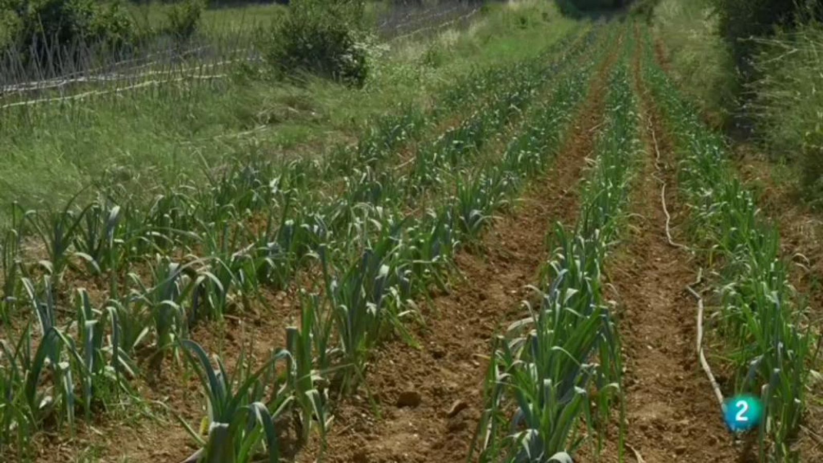 Amb Identitat - Productes ecològics