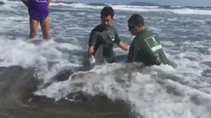 Telecanarias - Canarias en 2' - 29/09/2018