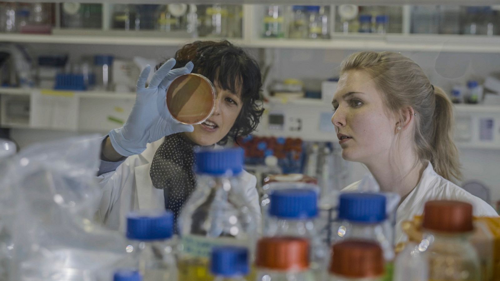 La noche temática - CRISPR: editar el genoma - ver ahora