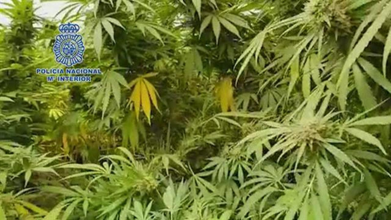 Telecanarias - 30/09/2018