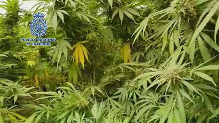 Telecanarias - Telecanarias - 30/09/2018