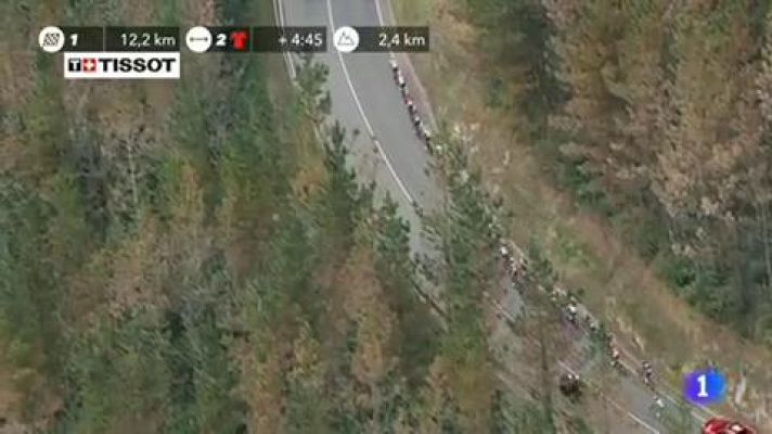 Telediario 1 - Los pinos del País Vasco están en peligro