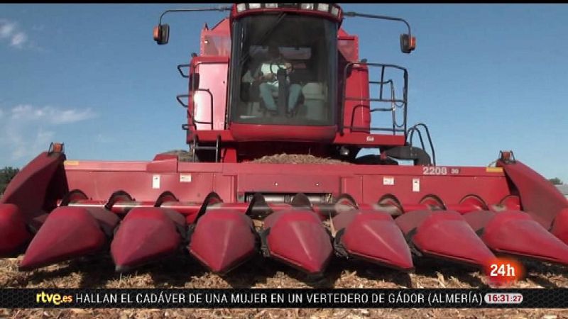 Malas pr�cticas en la cadena alimentaria | Ver