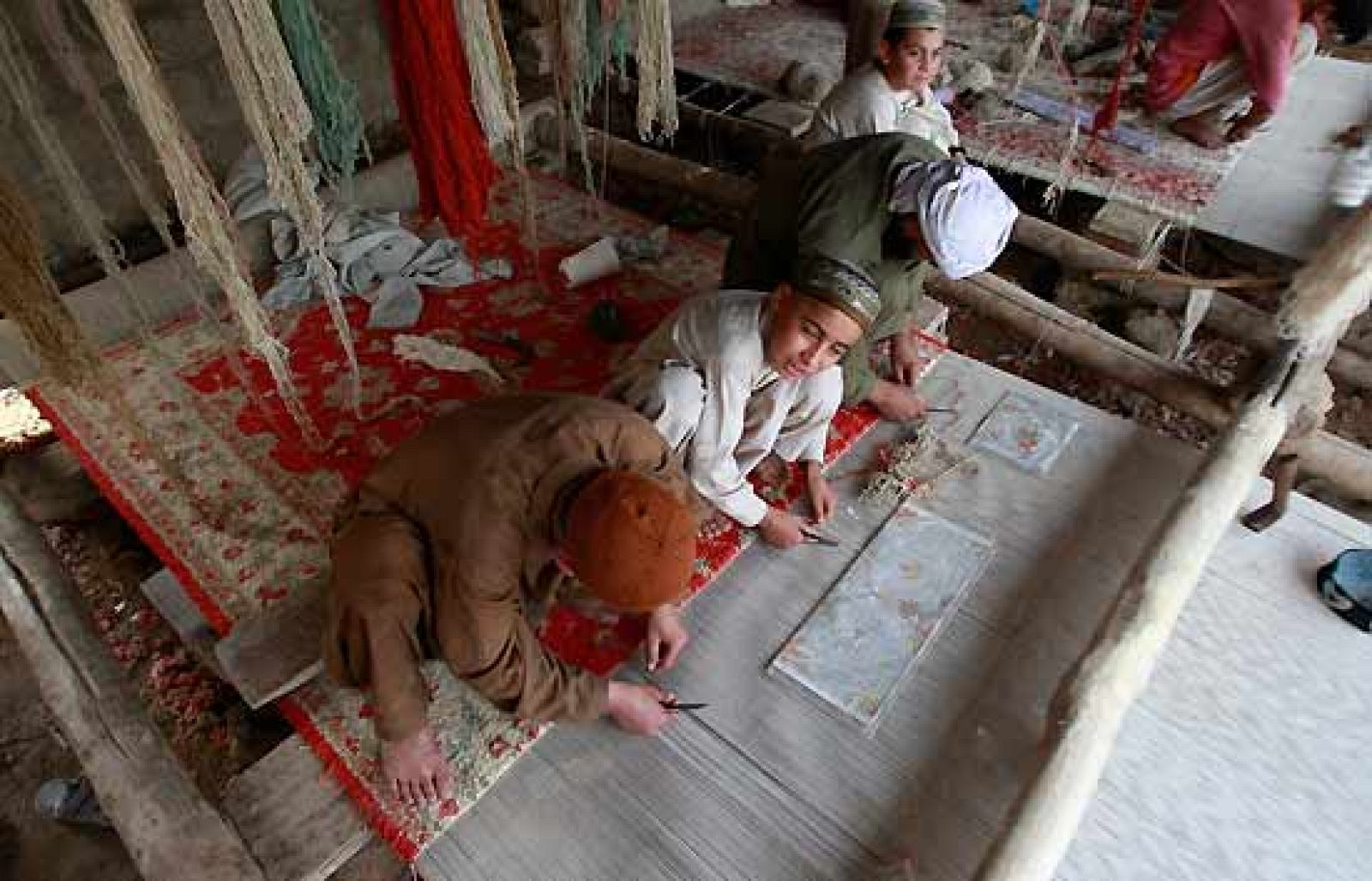 Negocio de guerra en los felpudos | Ver