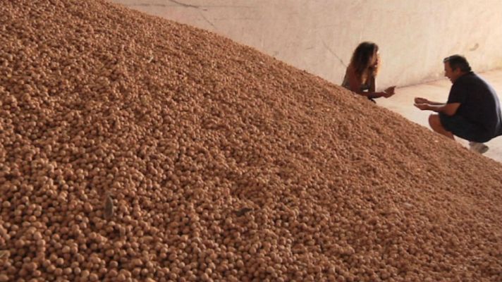 Aquí la Tierra - Sí, el garbanzo es un súper alimento