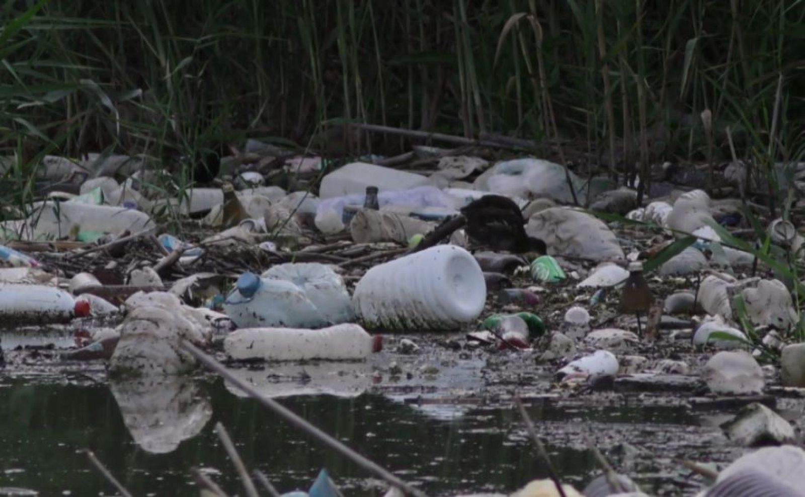 Repor - Plastificados - Avance