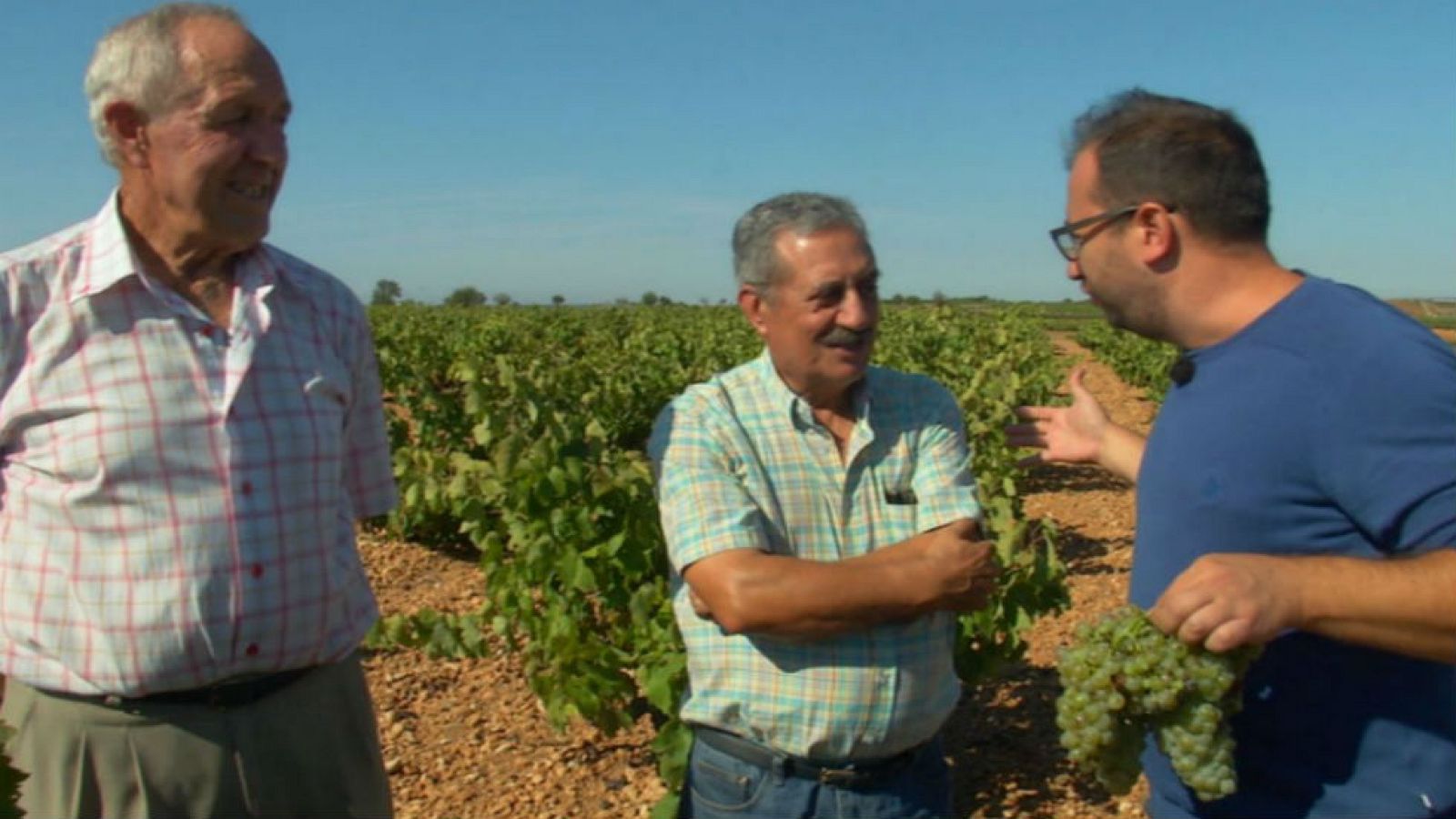 Uvas de Fuentealbilla