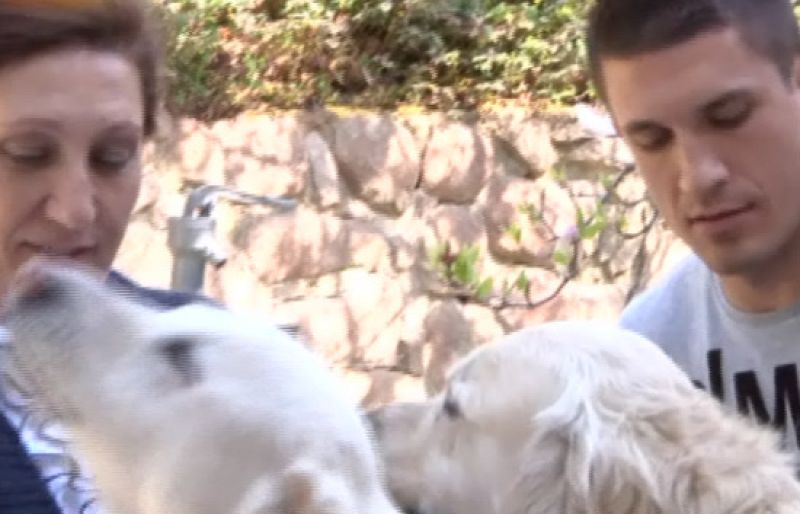 Mamá, estamos en crisis. Vuelvo a casa | Ver