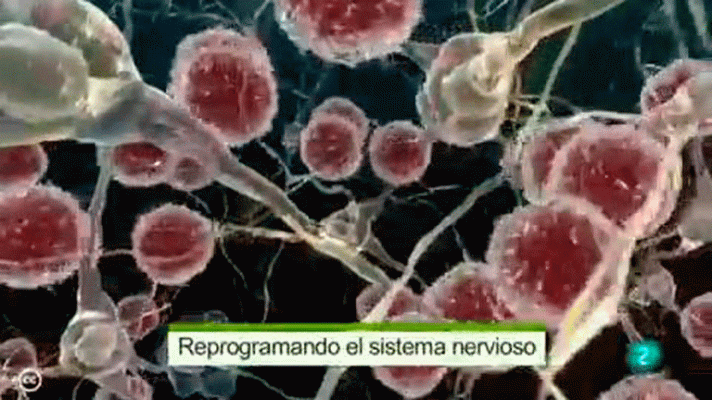 La aventura del Saber - NCI. Televisión Educativa Iberoamericana.