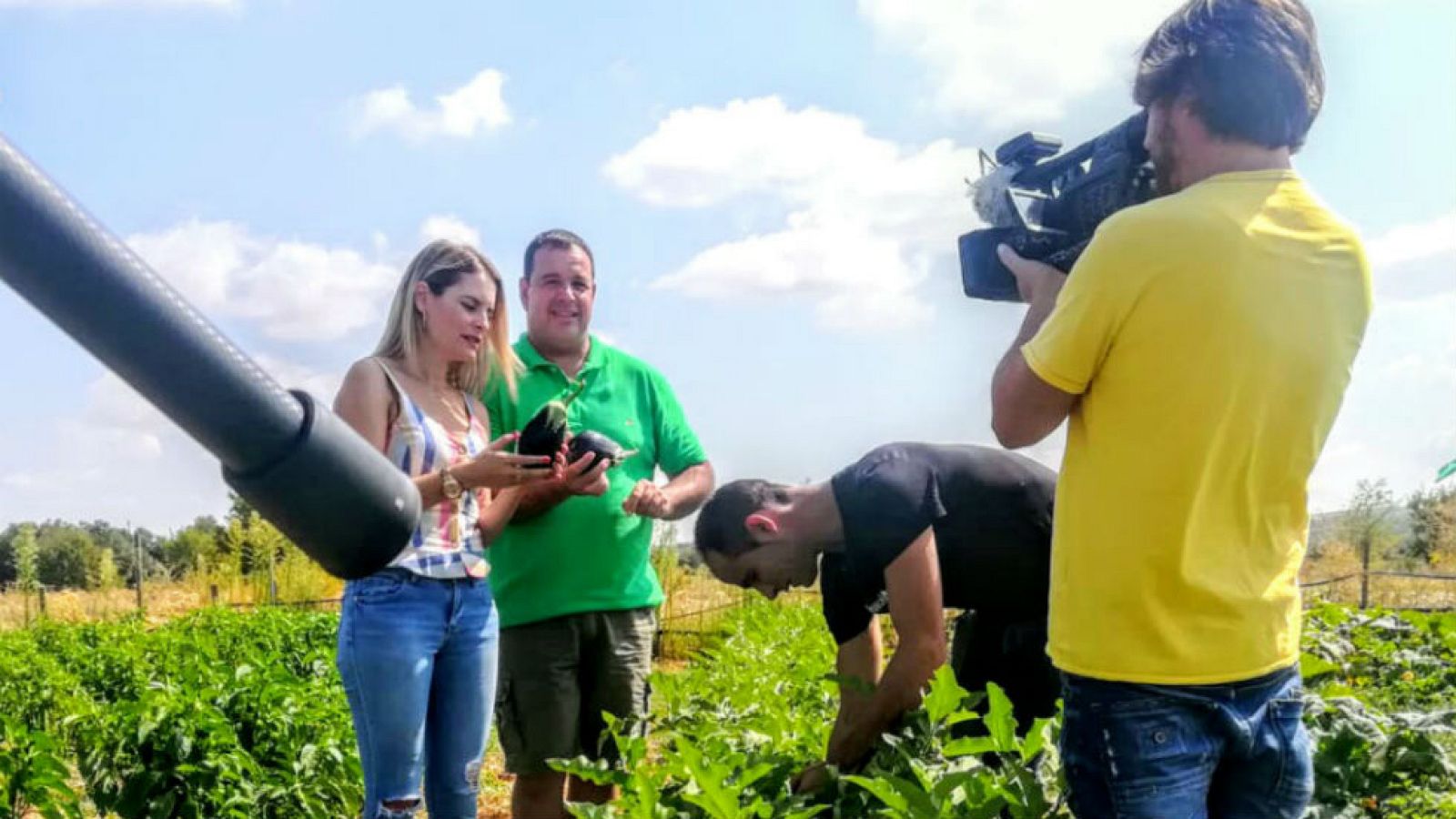 Arganda, tierra de hortelanos
