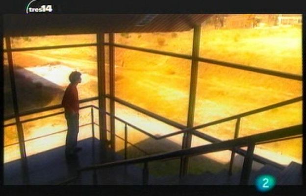 tres14 - ¿Es malo lavarse el pelo a diario?