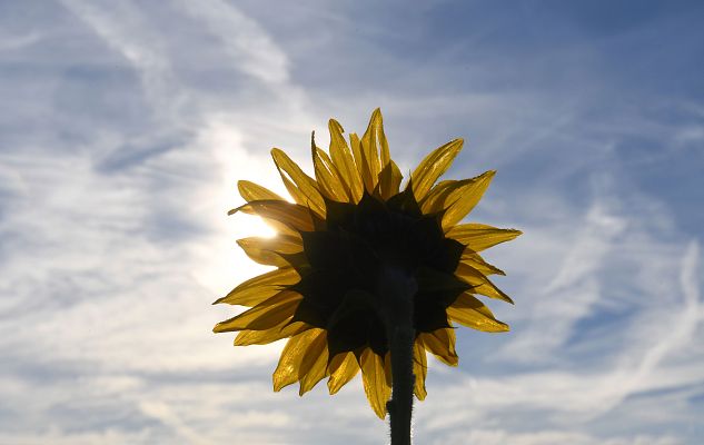 El tiempo - Sol y ascenso de las temperaturas en todo el país