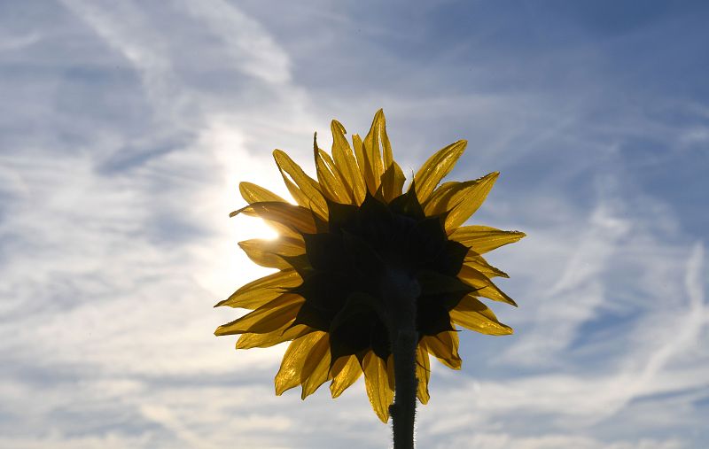 Sol y ascenso de las temperaturas en todo el país