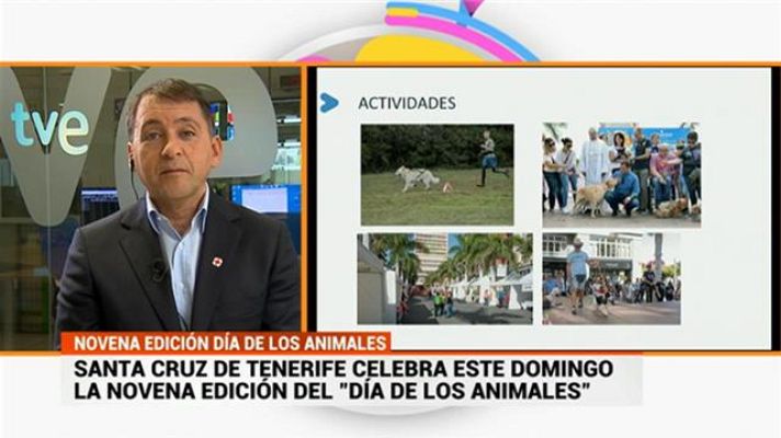 Cerca de ti - Cerca de ti - 03/10/2018