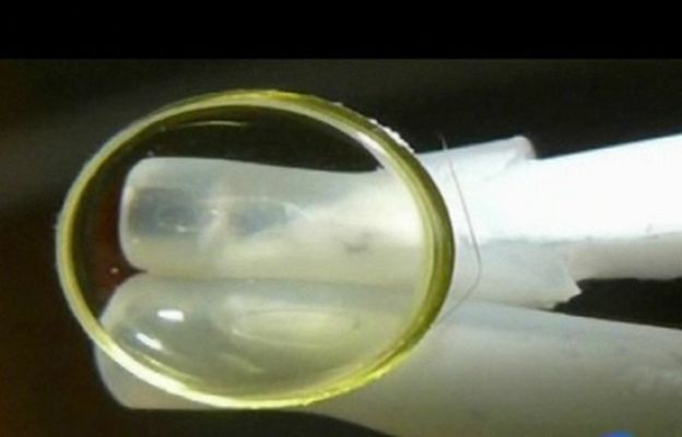 Ciencia y tecnología en Rtve.es - Puede prevenir la ceguera