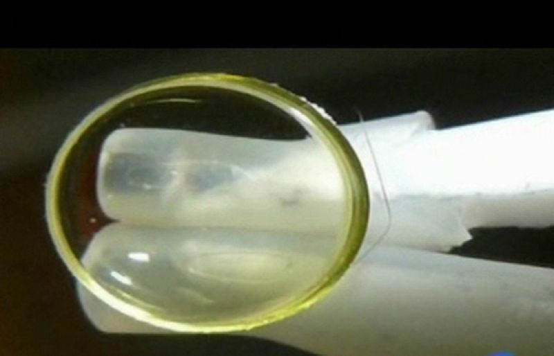 La Universidad Complutense de Madrid ha presentado un invento que puede prevenir la ceguera - Ciencia y tecnología en Rtve.es | Ver