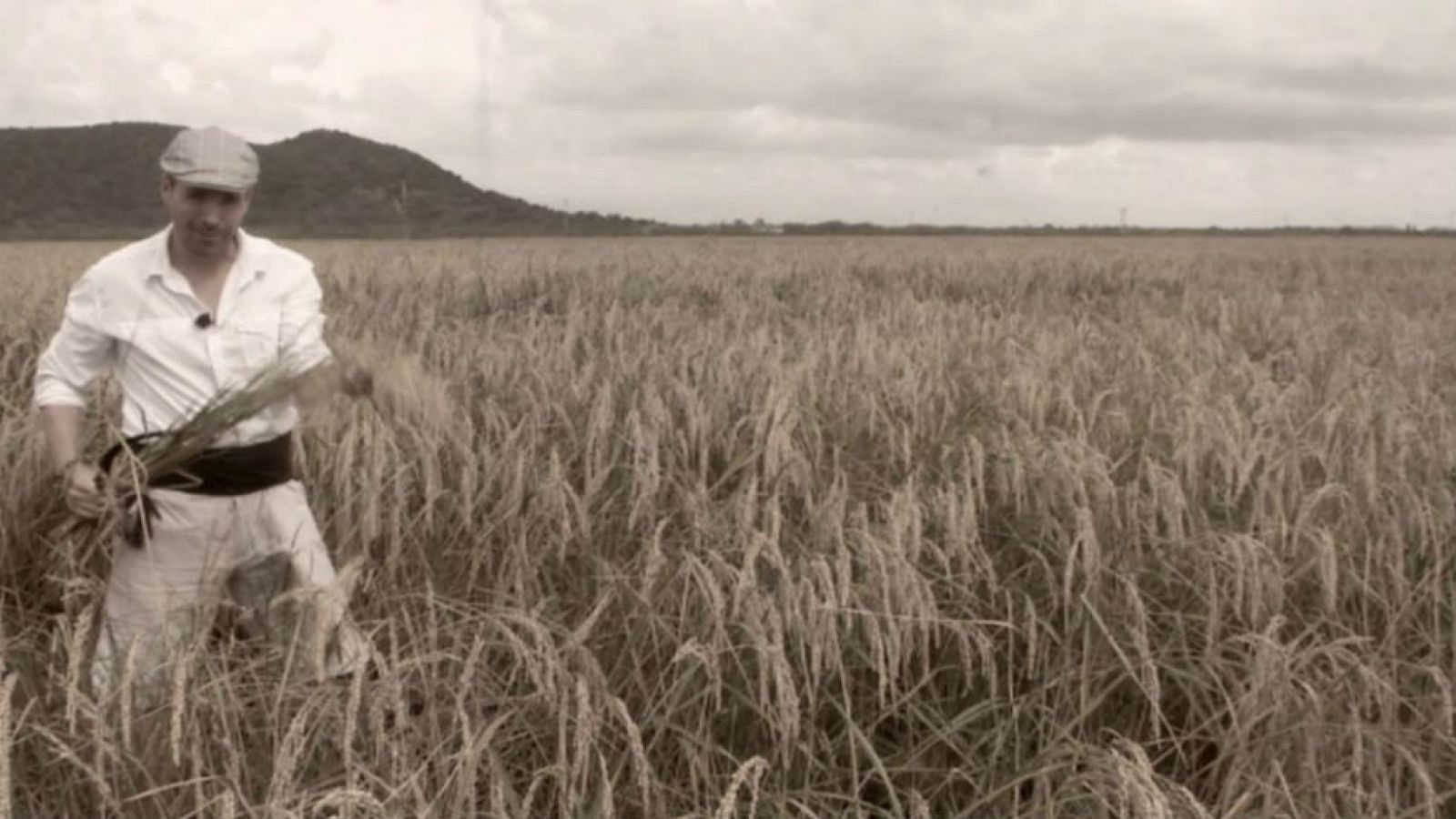 El arroz bombón vuelve a la vida