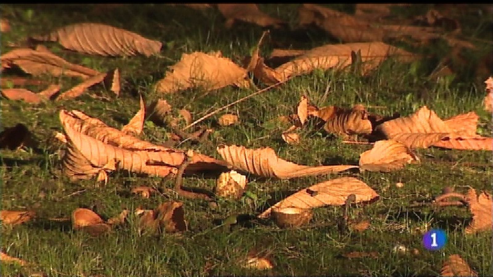 El tiempo en Asturias - 04/10/18 | Ver
