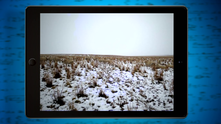 Desafía tu mente - Desafía tu mente (1) - 04/10/18