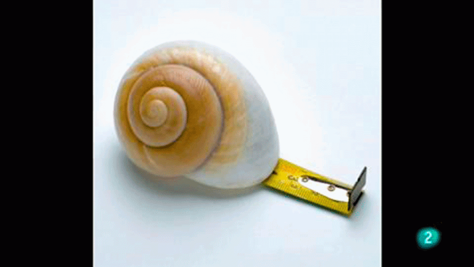 La aventura del saber. Boek visual: Los Díez.