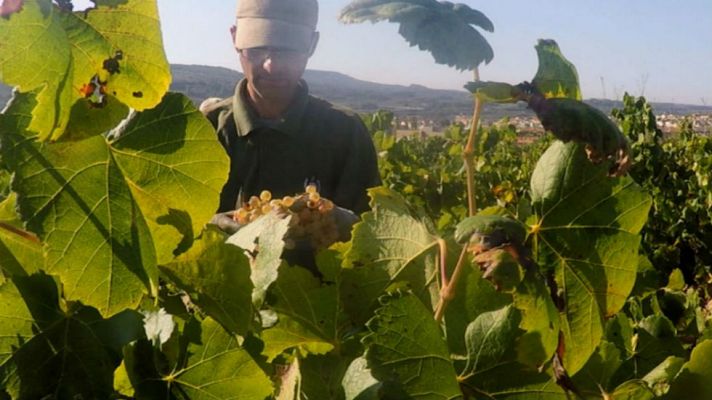 Aquí la Tierra - La buena añada