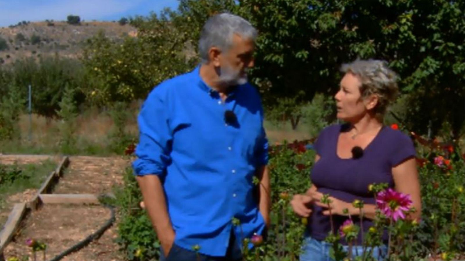 Iturriaga y las flores que alegran el alma