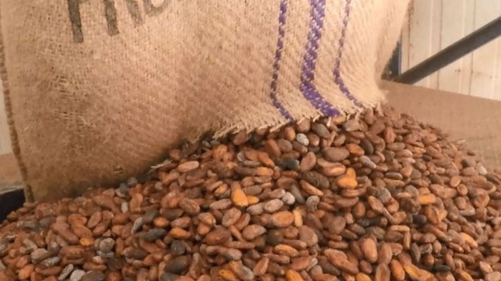 Aquí la Tierra - Herederos del cacao