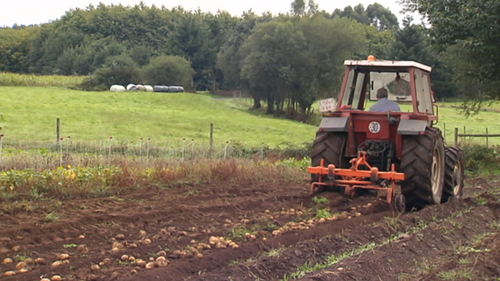 Agrosfera - 06/10//18 - ver ahora