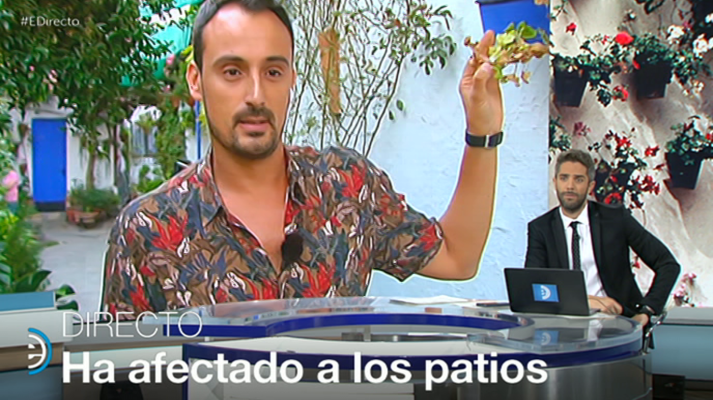 España Directo - España Directo - 08/10/18