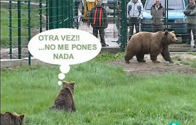 Ciencia y tecnología en Rtve.es - Furaco, Paca y Tola, trío imposible