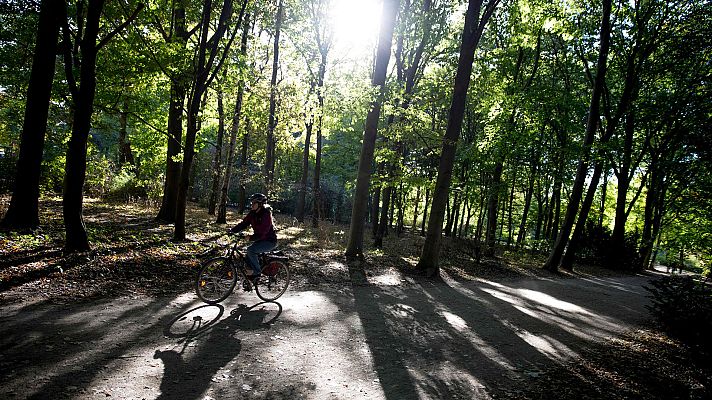 Informativo de Madrid - El Tiempo en la Comunidad de Madrid - 09/10/18