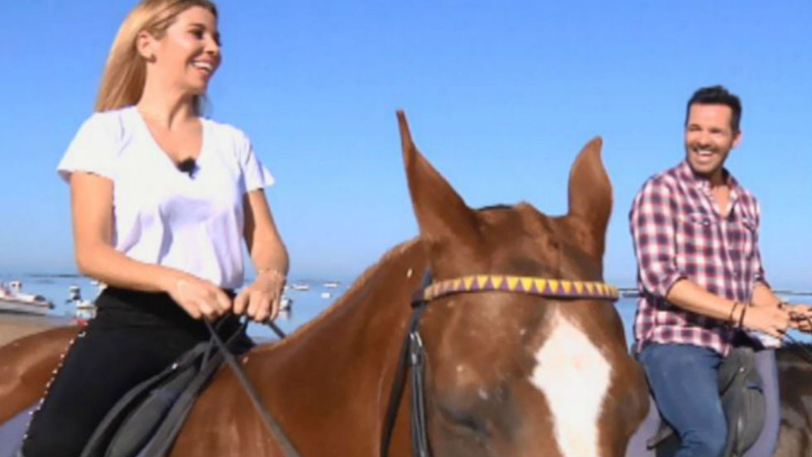 La cantante Natalia, Terrícola de Honor