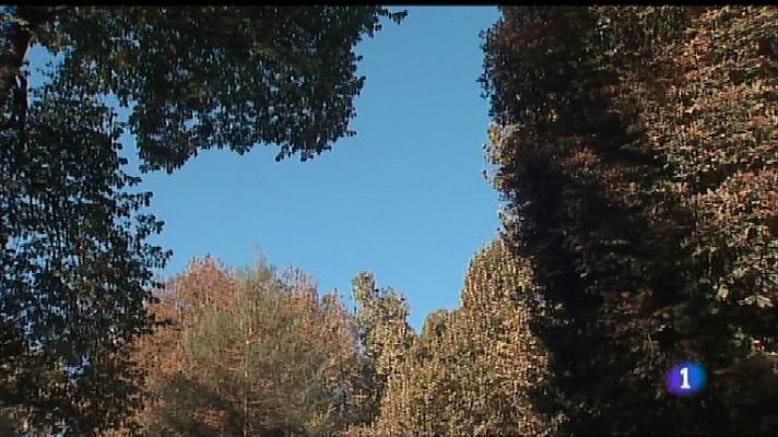 Panorama Regional - El tiempo en Asturias - 10/10/18