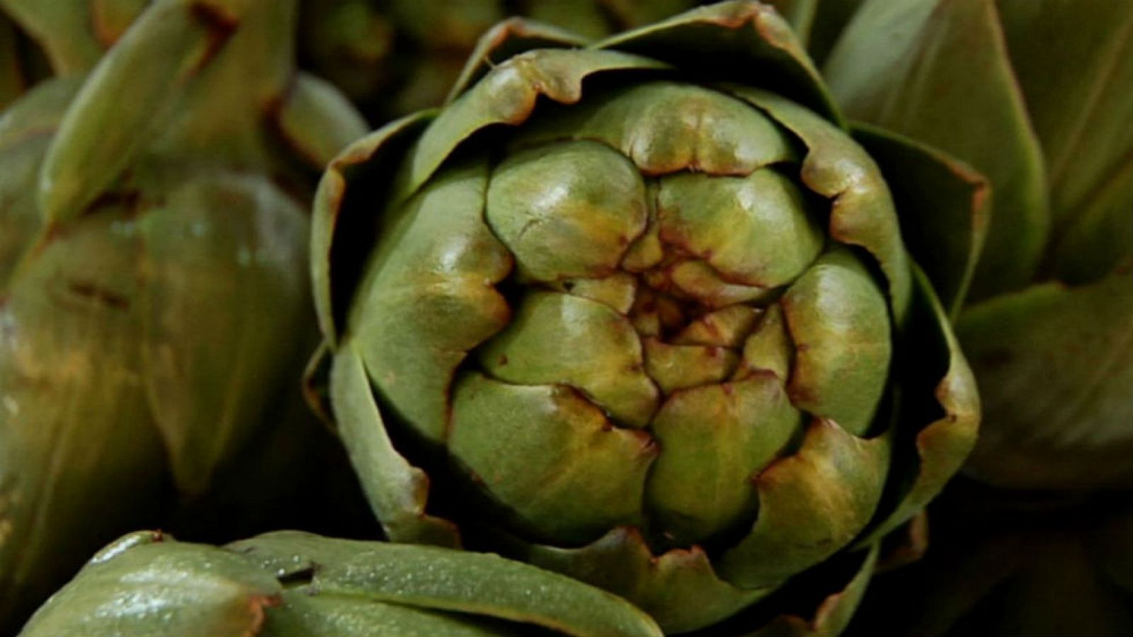 Alcachofa, ¡hasta cruda!