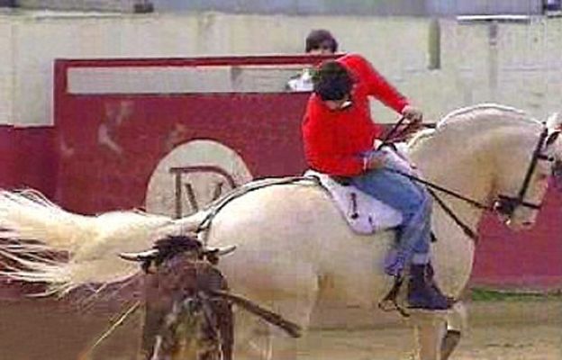 España Directo - Un rejoneador de éxito