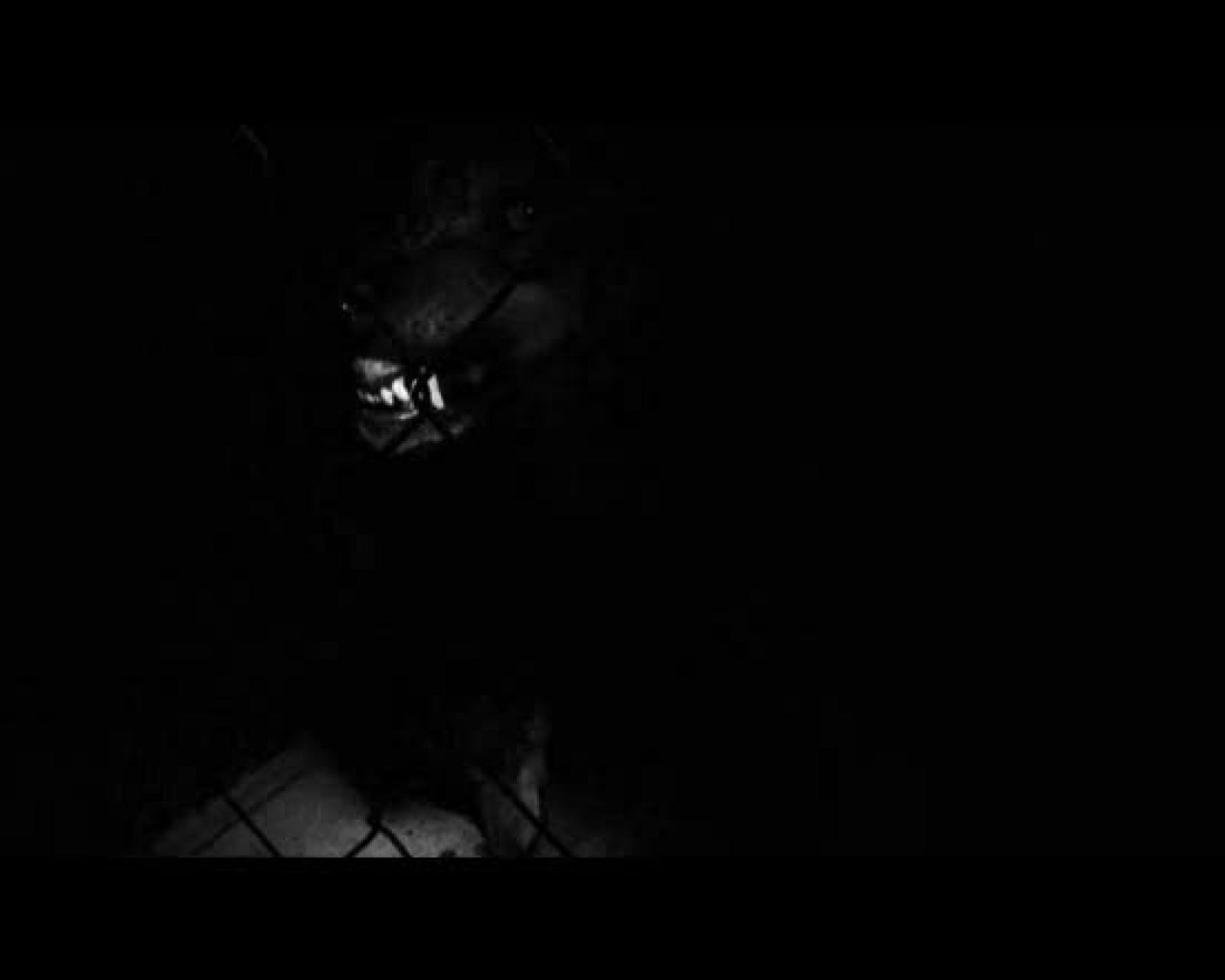 Ráfaga 461 - Sin título | Ver